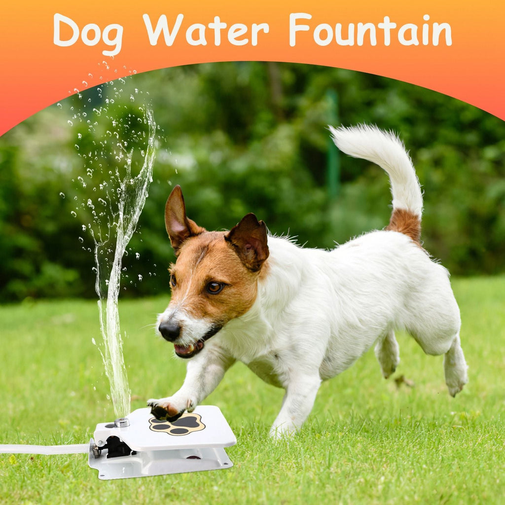 Step-On Outdoor Dog Water Fountain