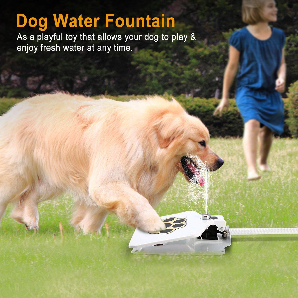 Step-On Outdoor Dog Water Fountain