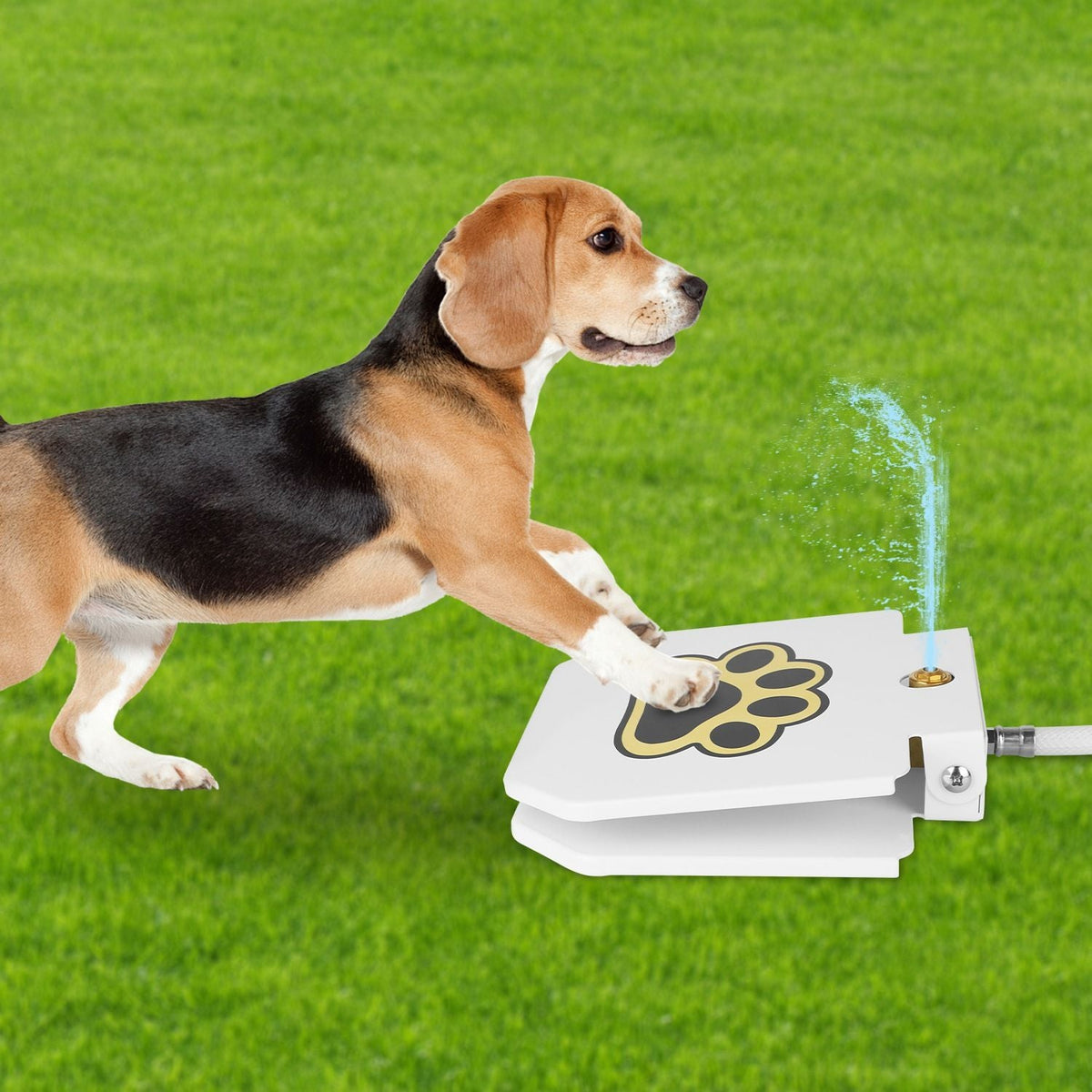 Step-On Outdoor Dog Water Fountain