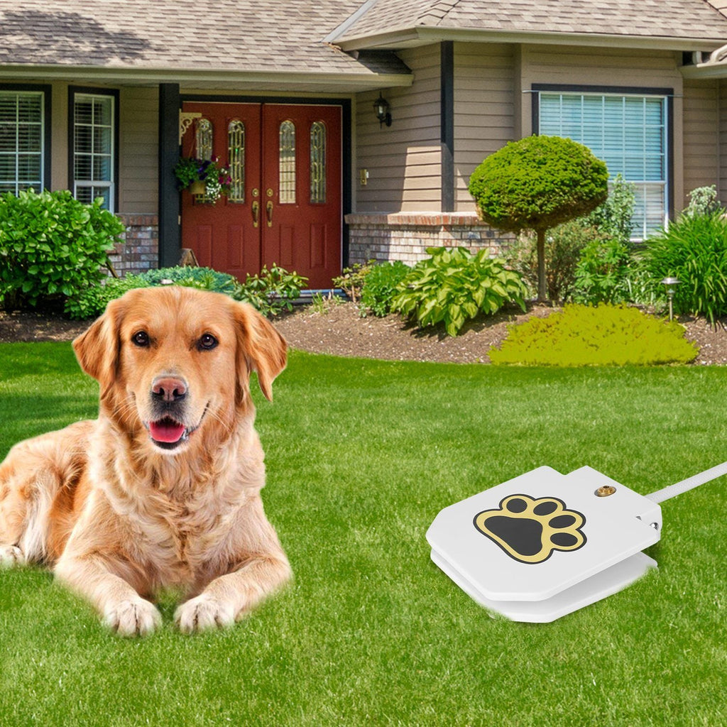 Step-On Outdoor Dog Water Fountain