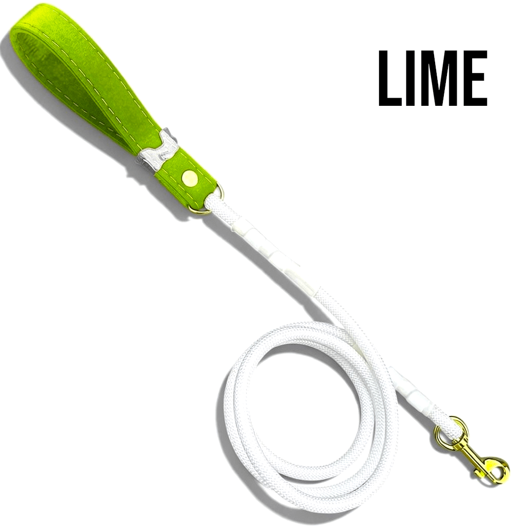 Luxe Collection Leashes
